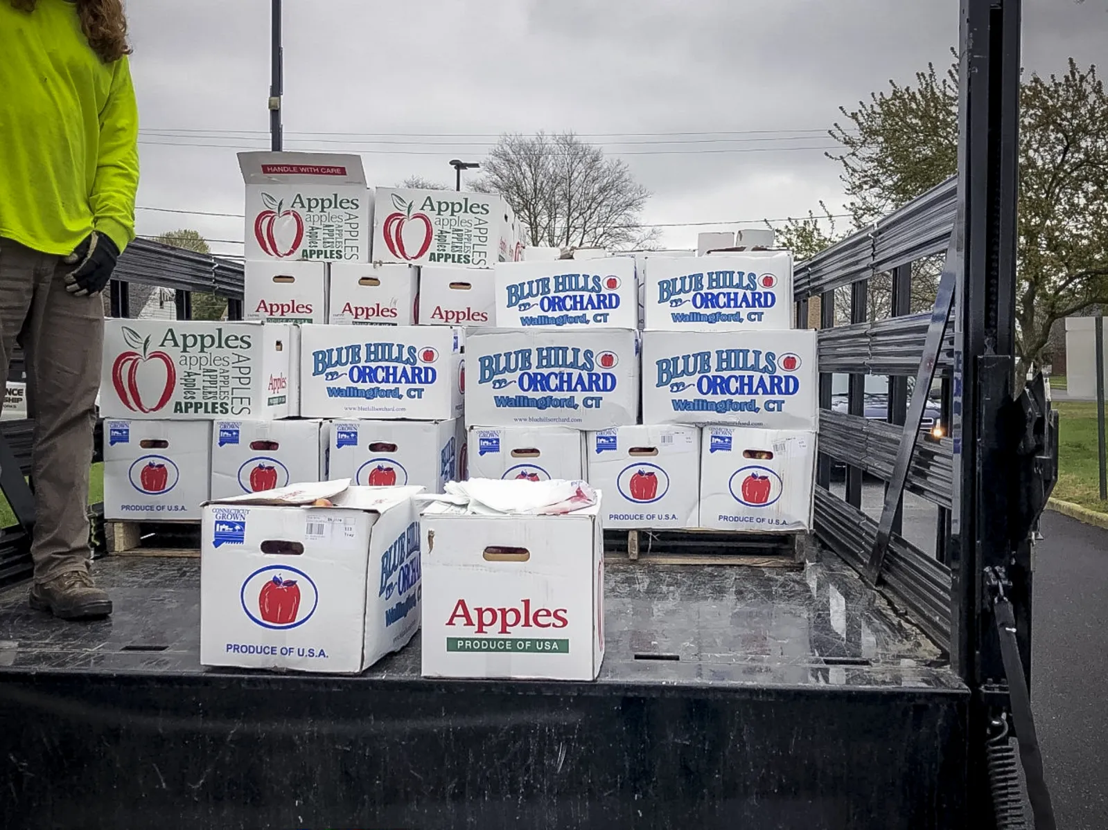 A truck bed carries boxes of donated apples for the school district.