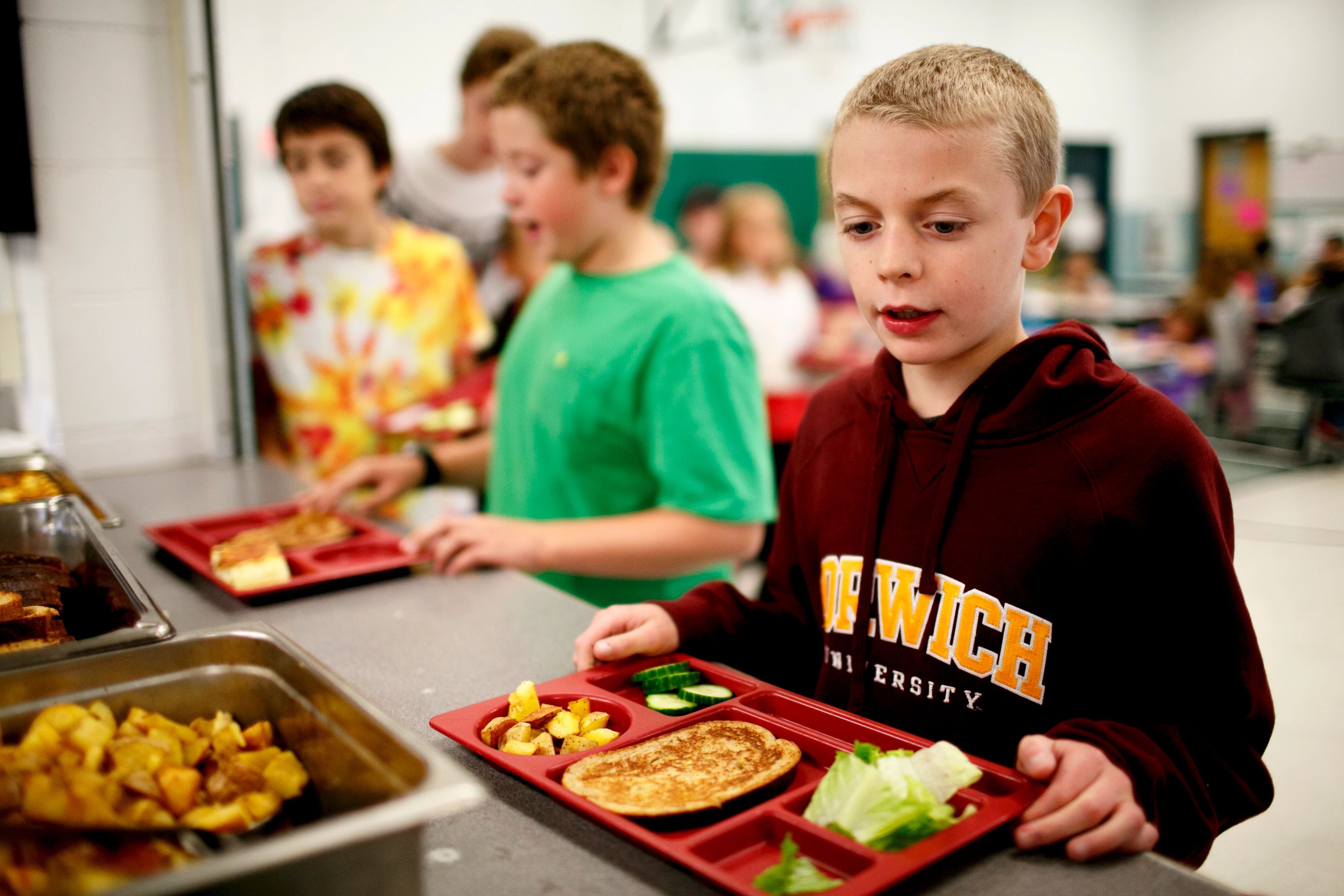 essay about national school lunch program