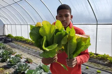 Young man holding collards