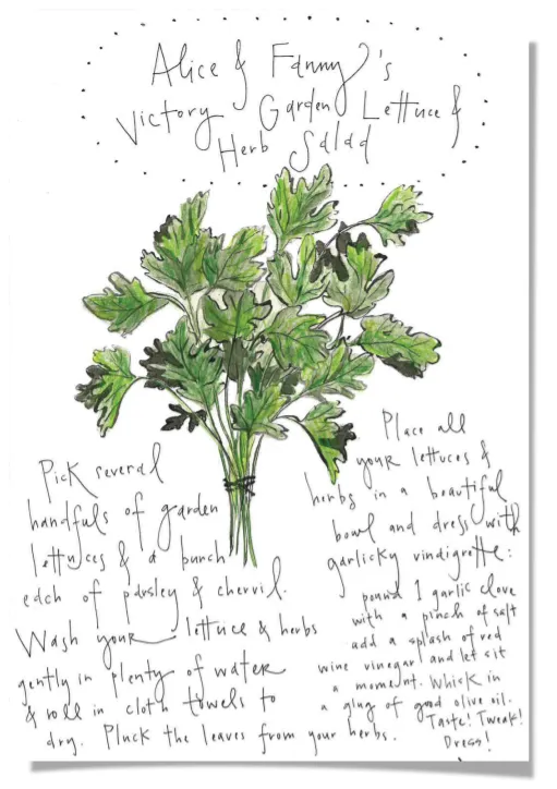 Photo of parsley and text
