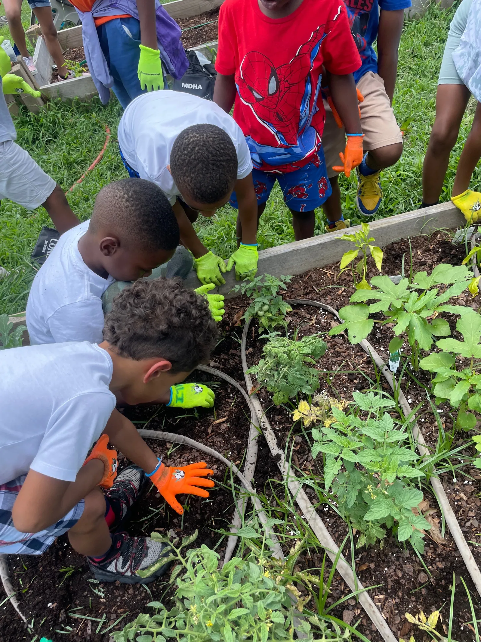 Boys gardening