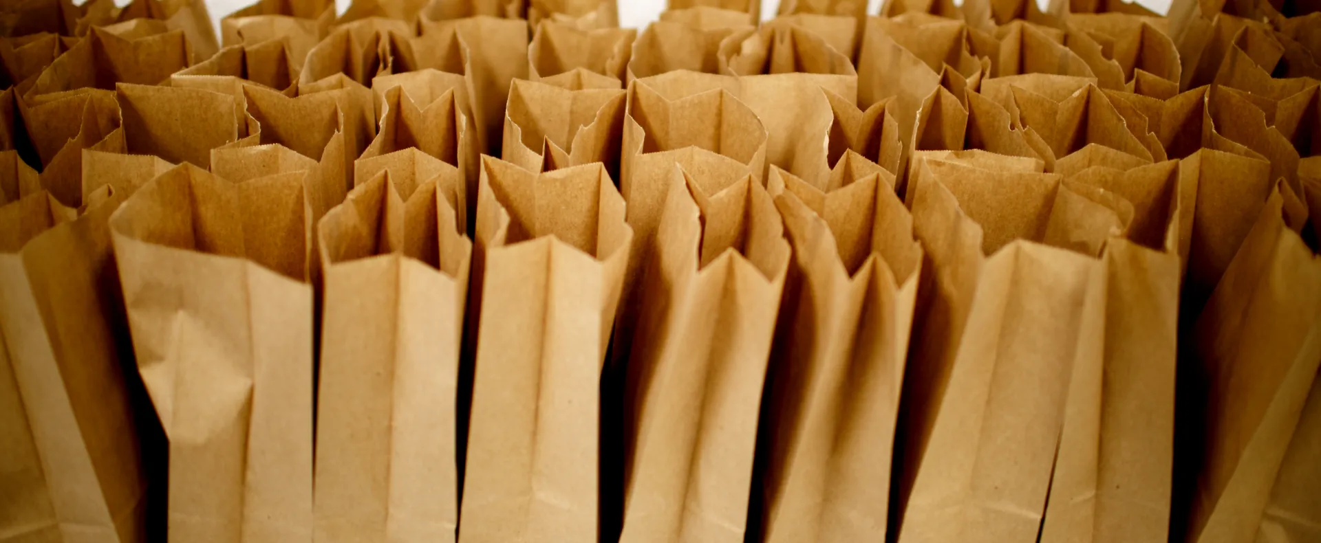 Paper bags sit side by side open on a table.