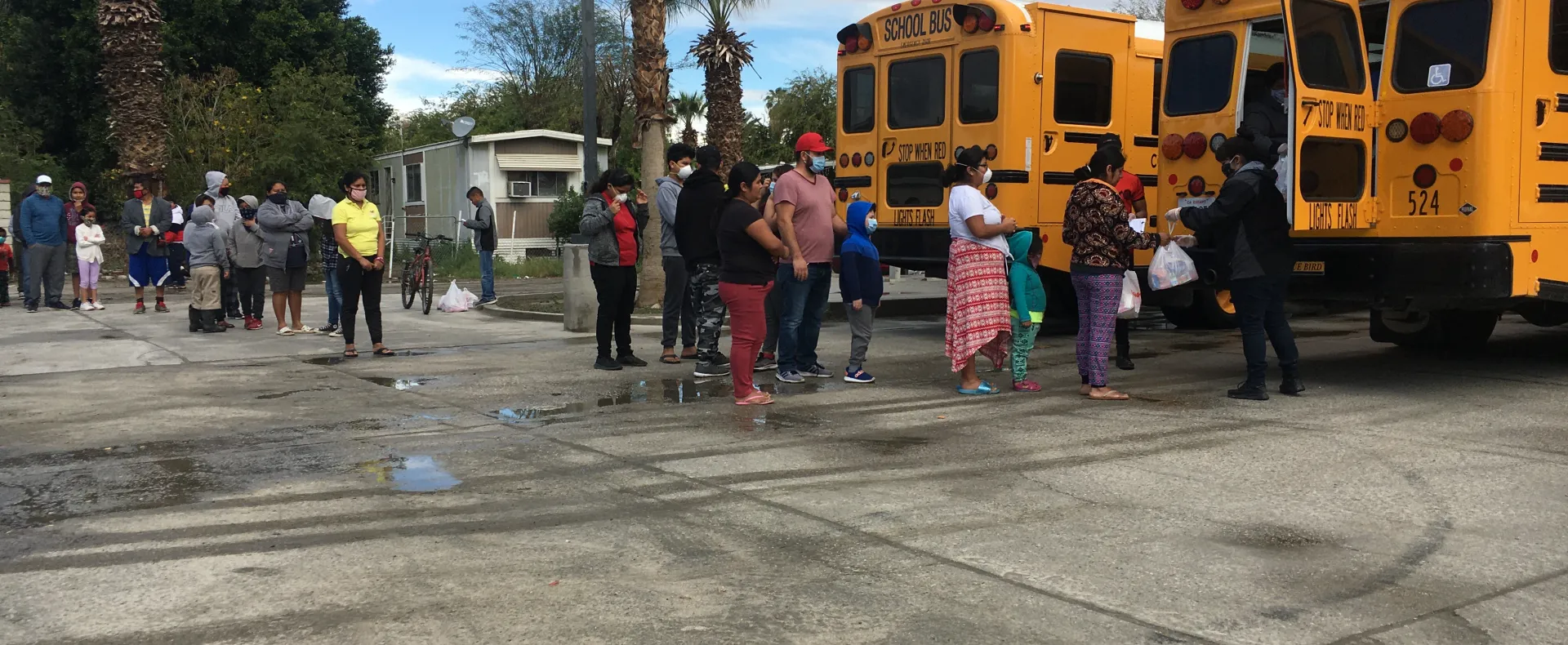A line of people wait for food in a parking lot behind two school buses.