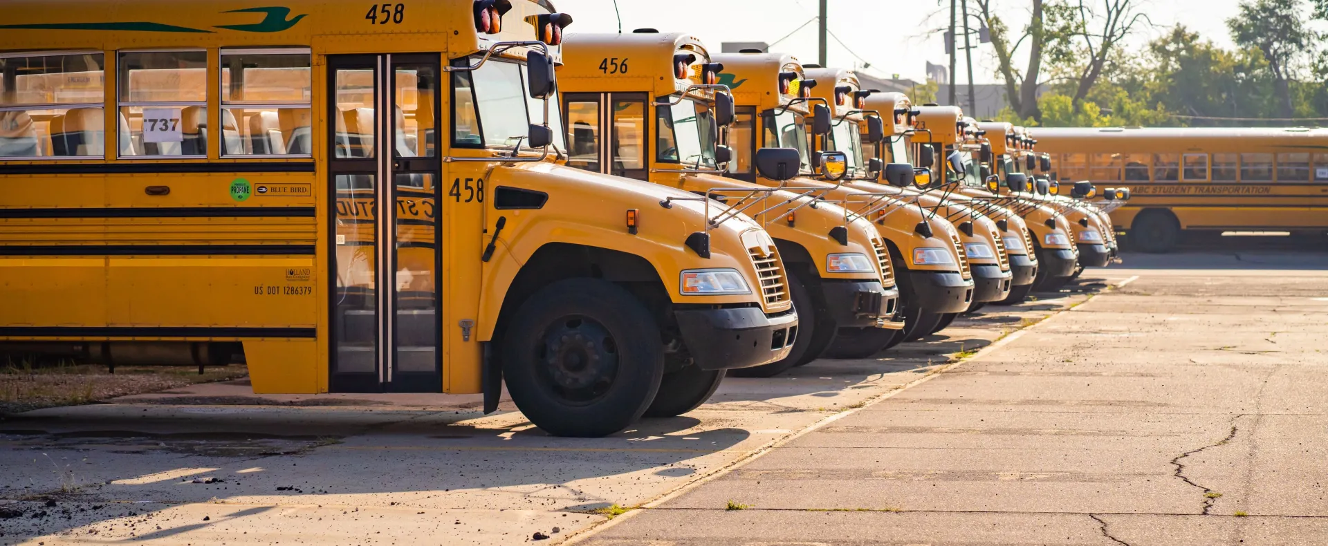 school buses lined up