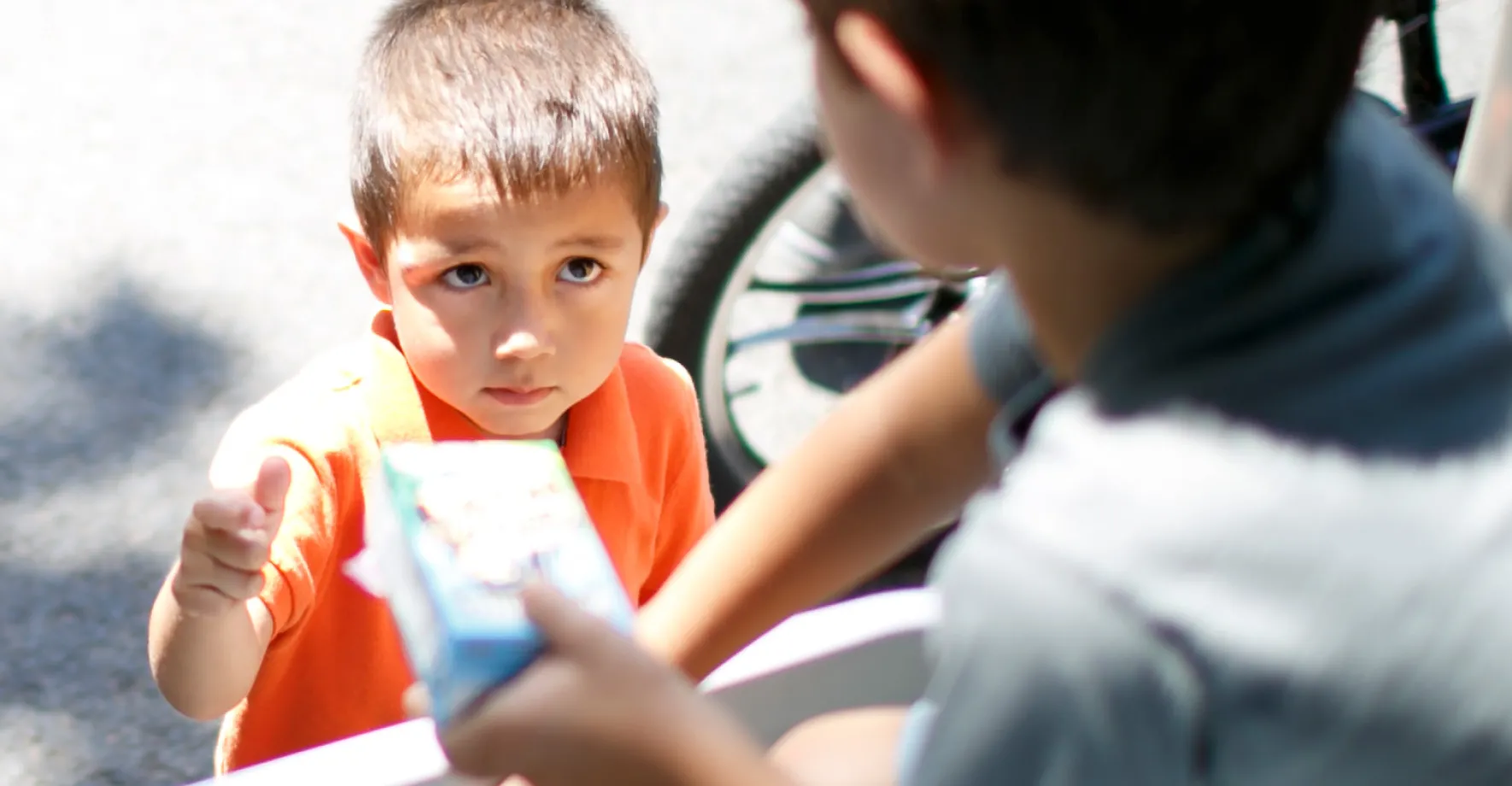 Summer Meals