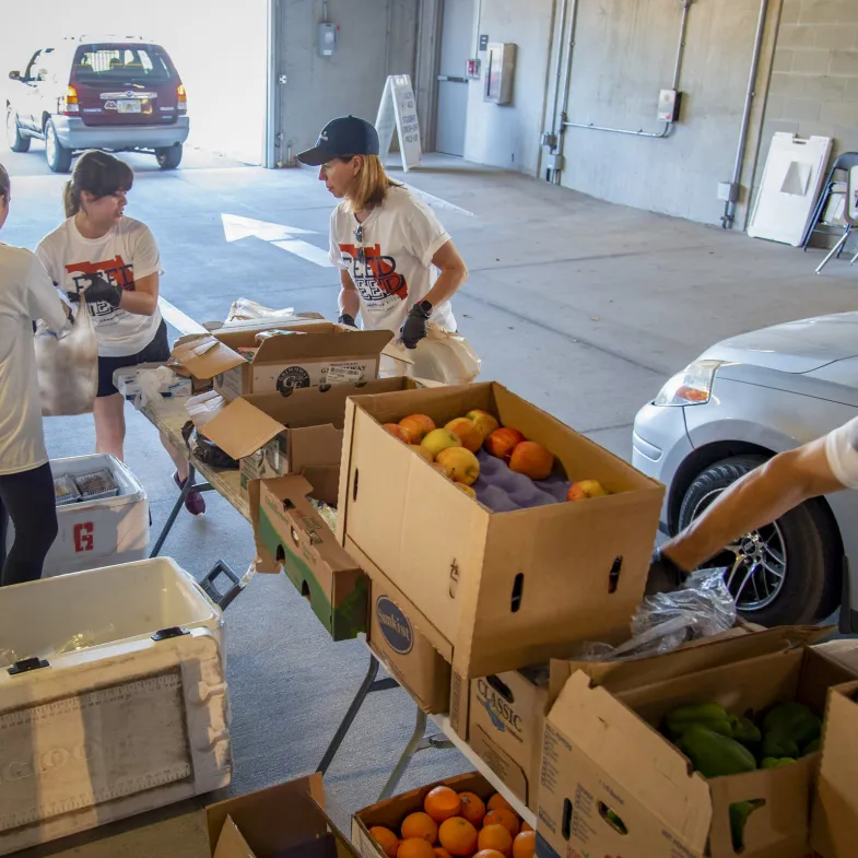 Workers pack produce into bags for cars.