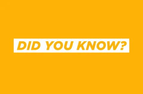 Did you know banner with yellow background