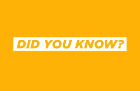 Did you know yellow background