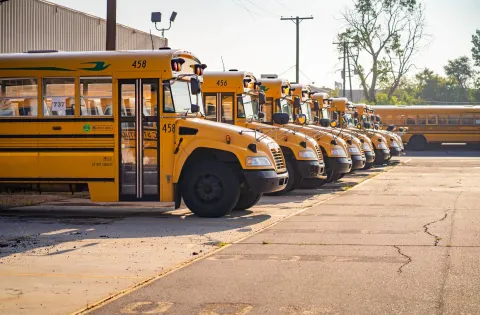 School Buses