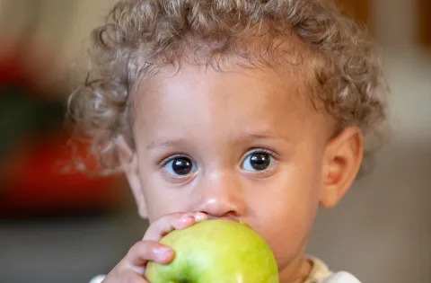Baby of mixed race eating a green apple